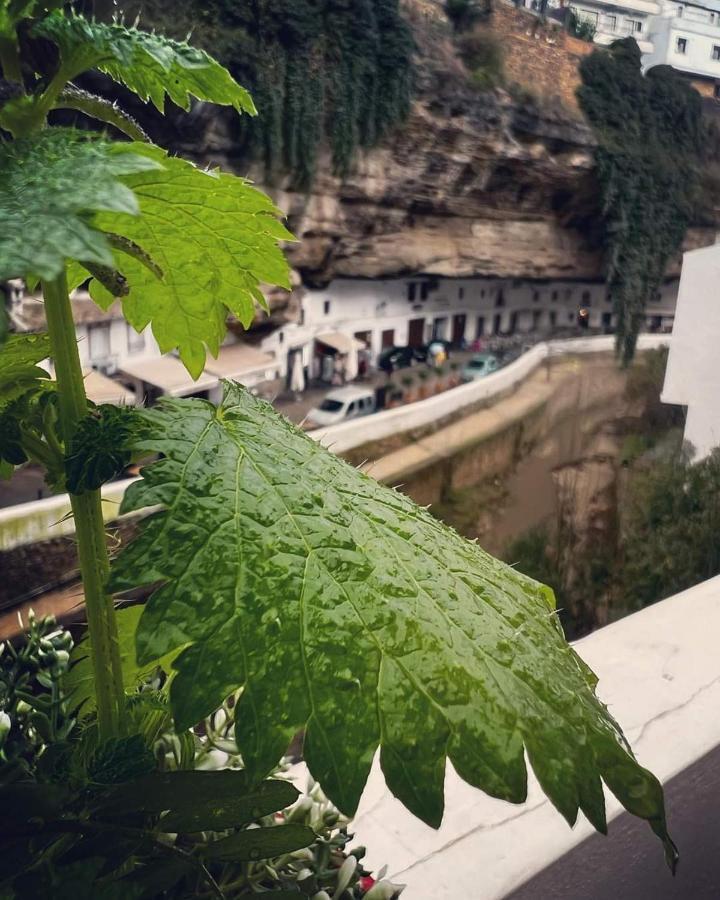 Casa Bajo La Roca Villa Setenil De Las Bodegas Eksteriør billede