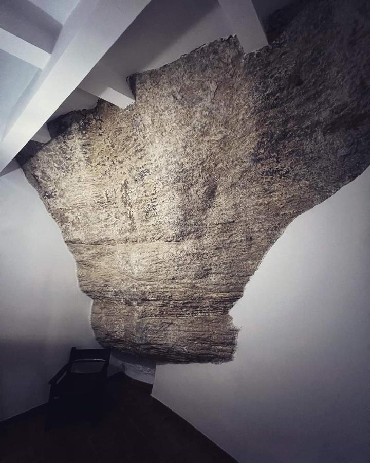Casa Bajo La Roca Villa Setenil De Las Bodegas Eksteriør billede